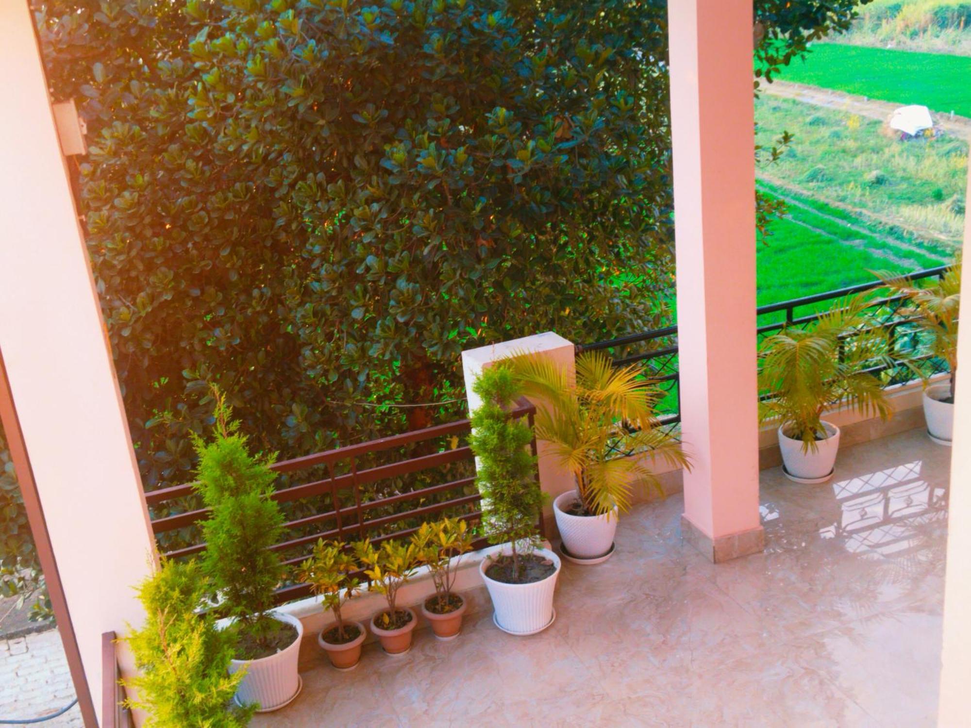 Airport Luxury Nature Homestay- Near Jolly Grant Airport Dehradun Doiwāla Exterior foto